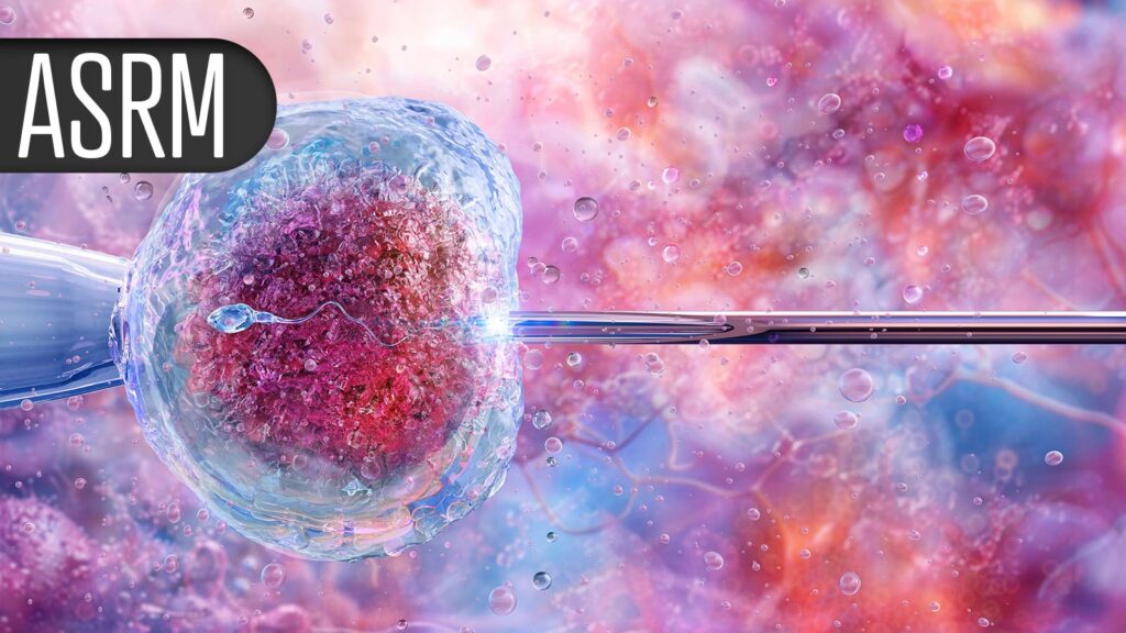 Egg Freezing Benefits Are a Key Job Consideration for Female Docs