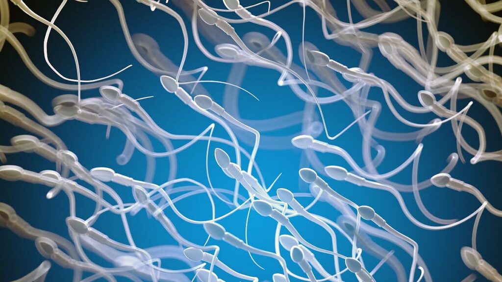 AI-Guided Sperm Analysis Results In First Successful Pregnancy AI-Guided Sperm Analysis Results In First Successful Pregnancy