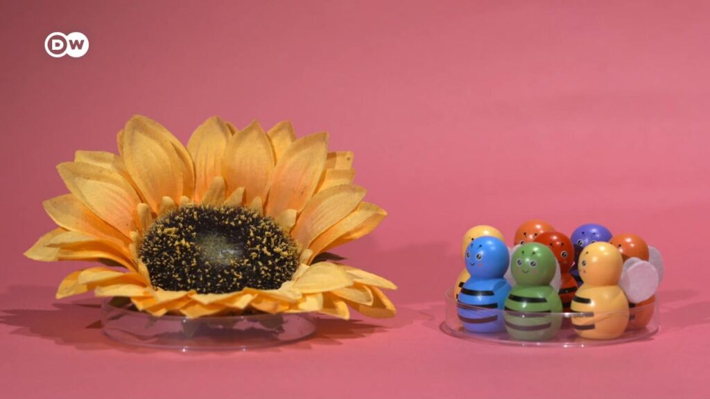 IVF explained: Process, costs & risks