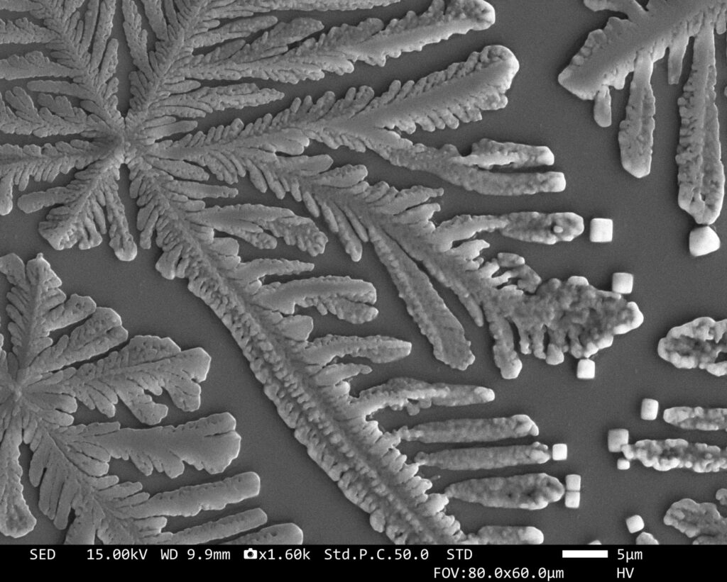 Rethinking reproduction – why cervical mucus deserves scientific attention