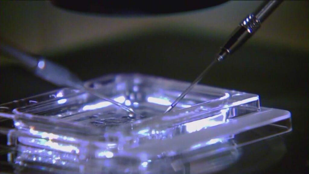 AI-assisted IVF births begin as doctors test new fertility tools AI-assisted IVF births begin as doctors test new fertility tools