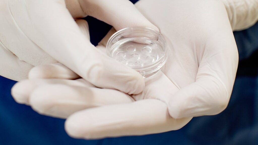 Can AI really improve IVF success rates?