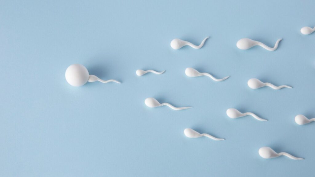 Delhi pollution and male fertility: How bad air may reduce sperm count and hormonal balance