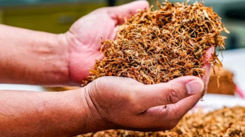 Is there a link between tobacco and men’s reproductive health? | Lifestyle Gallery News